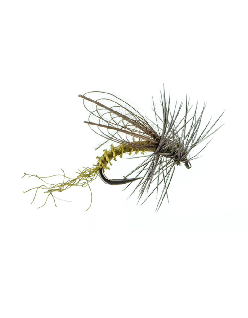 Montana Fly Co. CDC Winged Emerger BWO