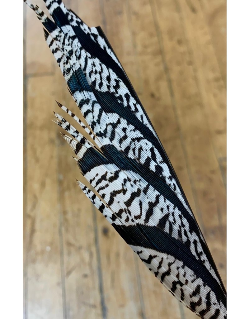 Drift Outfitters Drift - Lady Amherst Pheasant Tail - 5 Inch Section