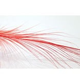 Gaspe Fly Co Gaspe Heron Spey Hackle