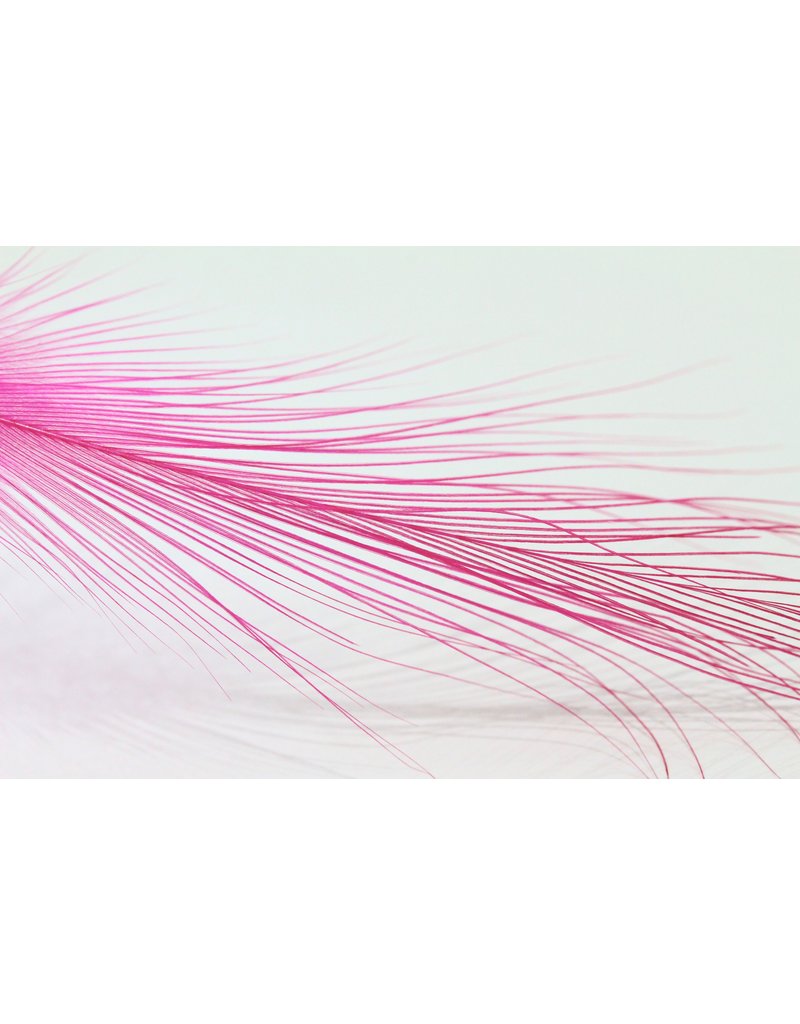 Gaspe Fly Co Gaspe Heron Spey Hackle