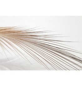 Gaspe Fly Co Gaspe Heron Spey Hackle