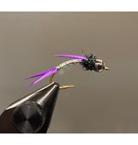 Steelhead Prince Nymph *Local Favourite* - Multiple Colours Available
