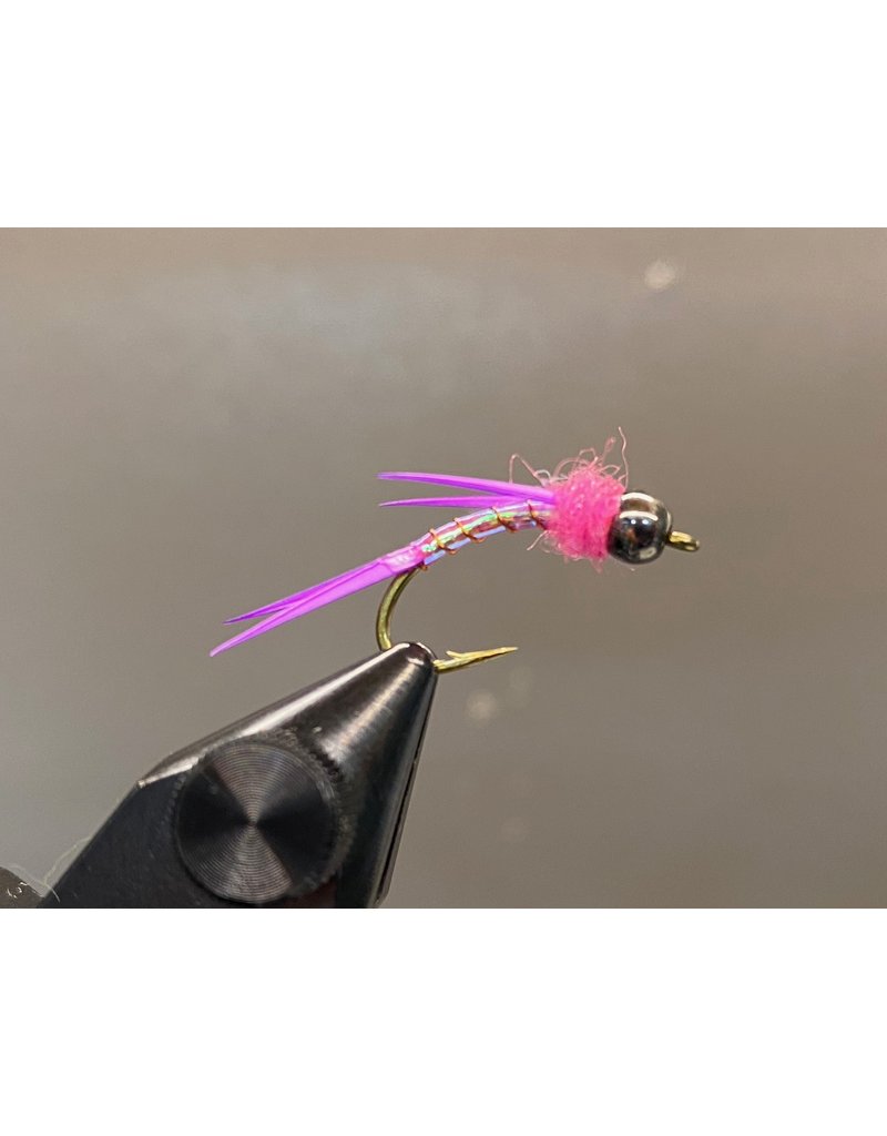 Steelhead Prince Nymph *Local Favourite* - Multiple Colours Available -  Drift Outfitters & Fly Shop Online Store