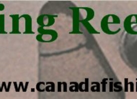 Canada Fishing Reels
