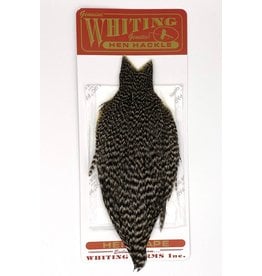 Whiting - Hen Neck