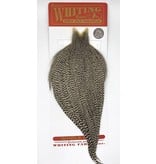 Whiting - Rooster Bronze Neck