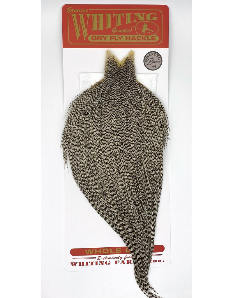 Whiting - Rooster Bronze Neck