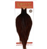 Whiting - Rooster Bronze Neck