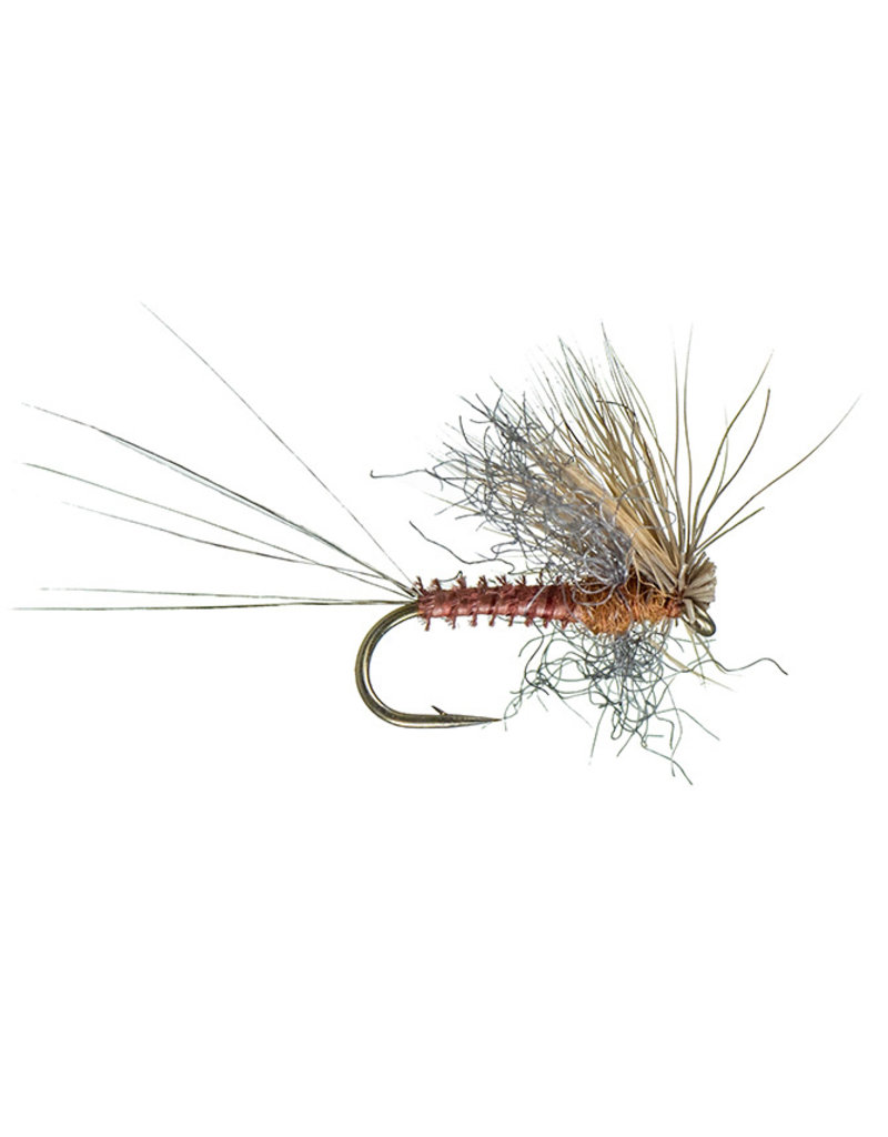 Montana Fly Co. Galloup's Found Link