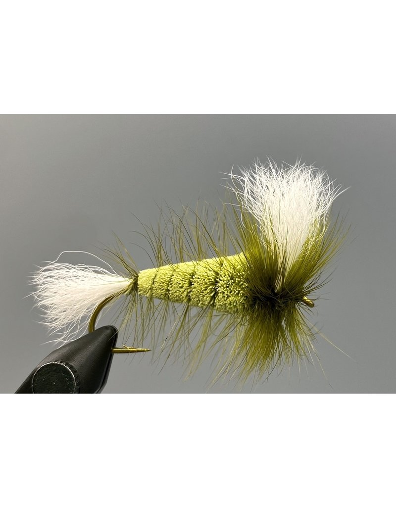 Shadow Flies Wulff Bomber - Olive Body - Olive Hackle - White WIngs