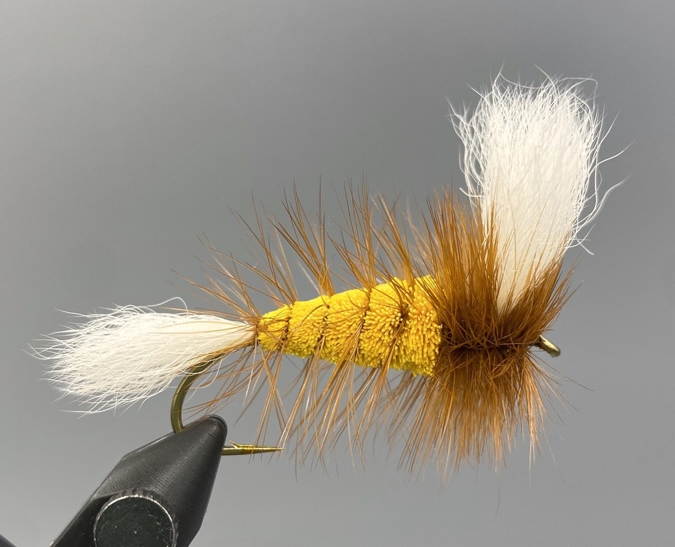 Brown Hackle