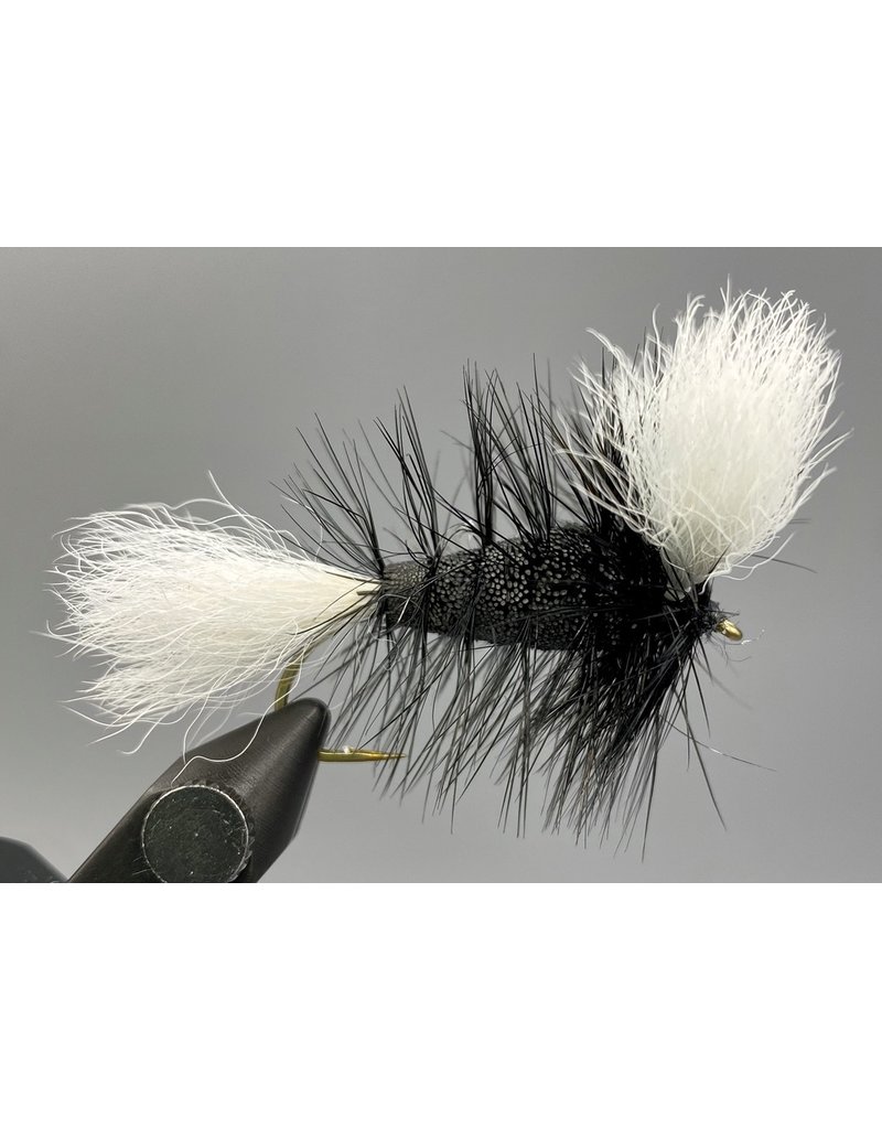 Montana Fly Co. Wulff Bomber - Black Body  & Hackle - White Wings Size #6
