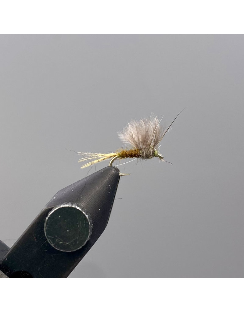 Montana Fly Co. Downey's Wonder Nymph - Baetis #18