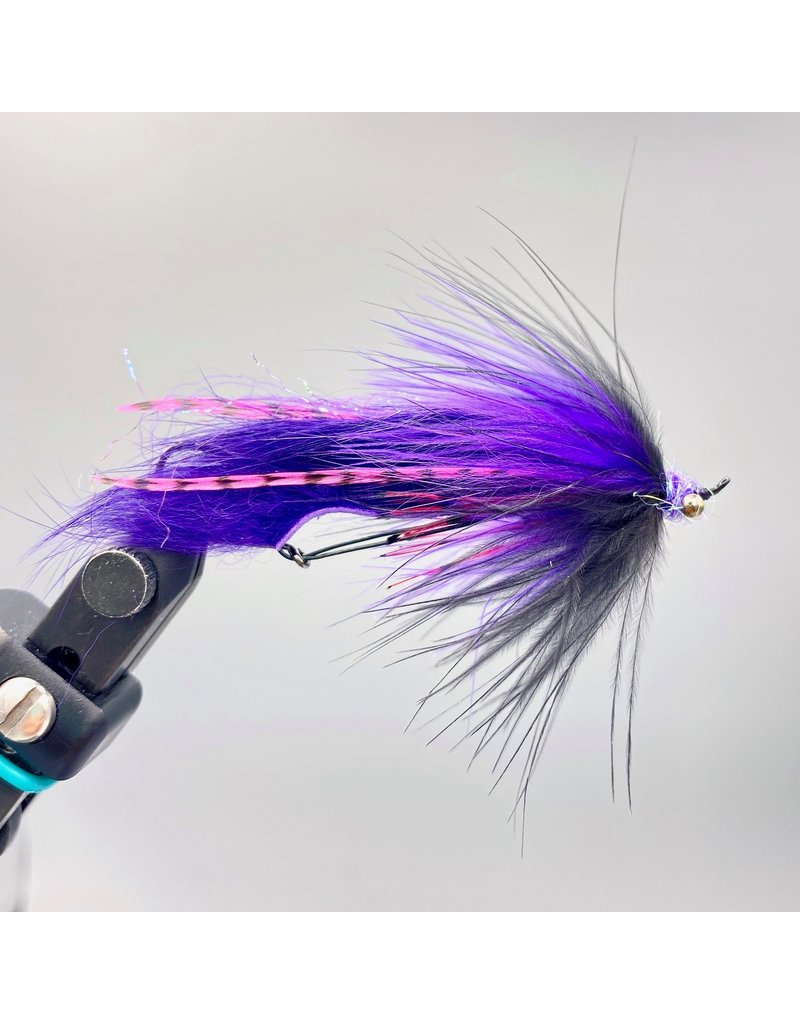 Rainy's Cottrell's The Searcher Purple/Pink