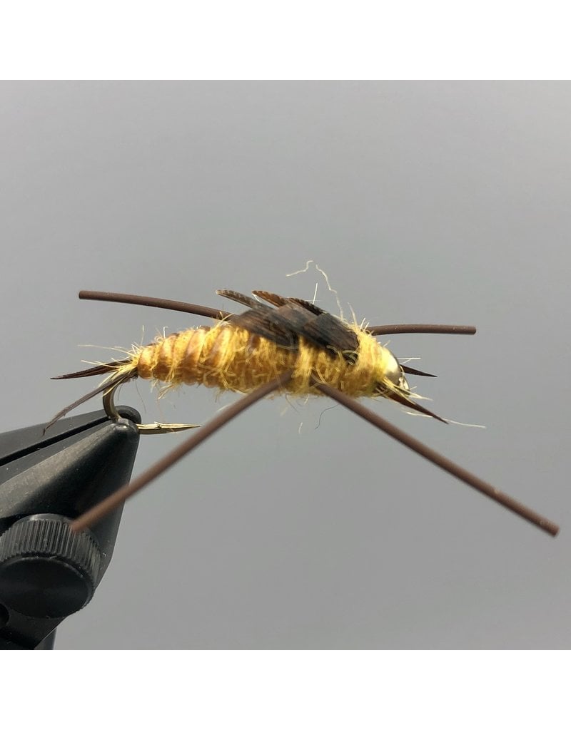 RIO Bead Head Rubber Legs Stonefly