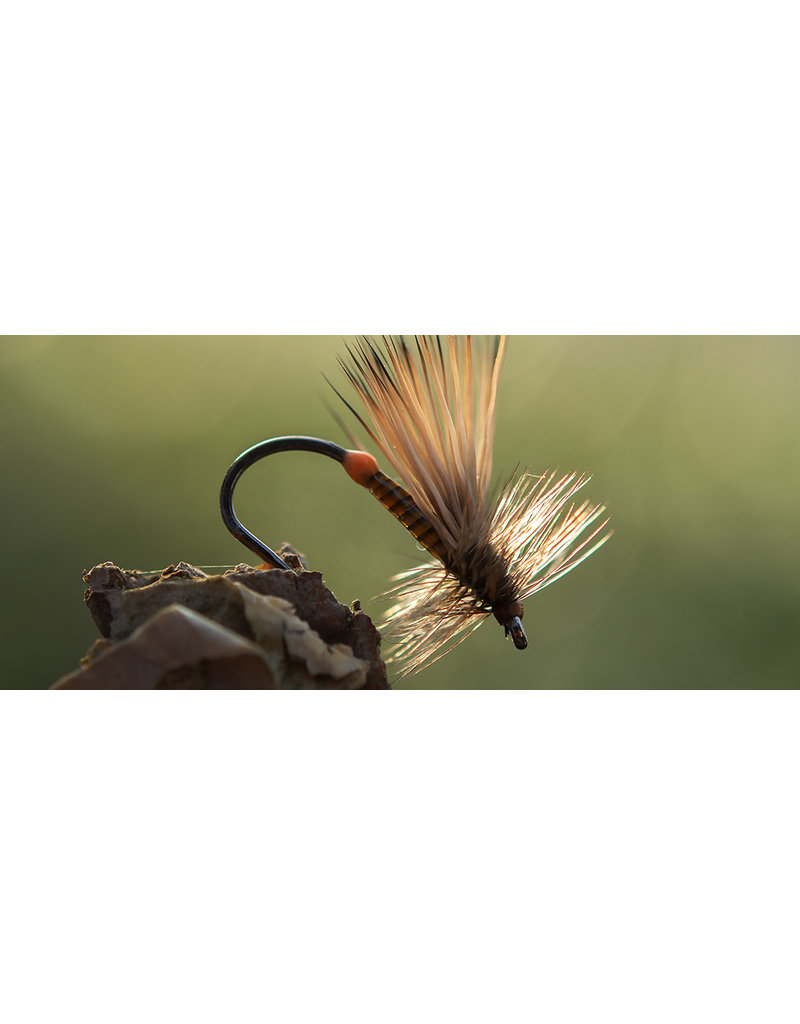 Ahrex Hooks Ahrex - FW503 Dry Fly Light Barbless