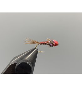 Montana Fly Co. BH Lucent Pheasant Tail Nymph - Red