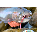 Raven Raven - Steelhead Worms