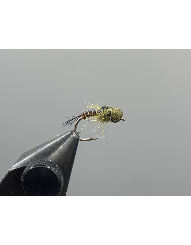 Montana Fly Co. American Nymph