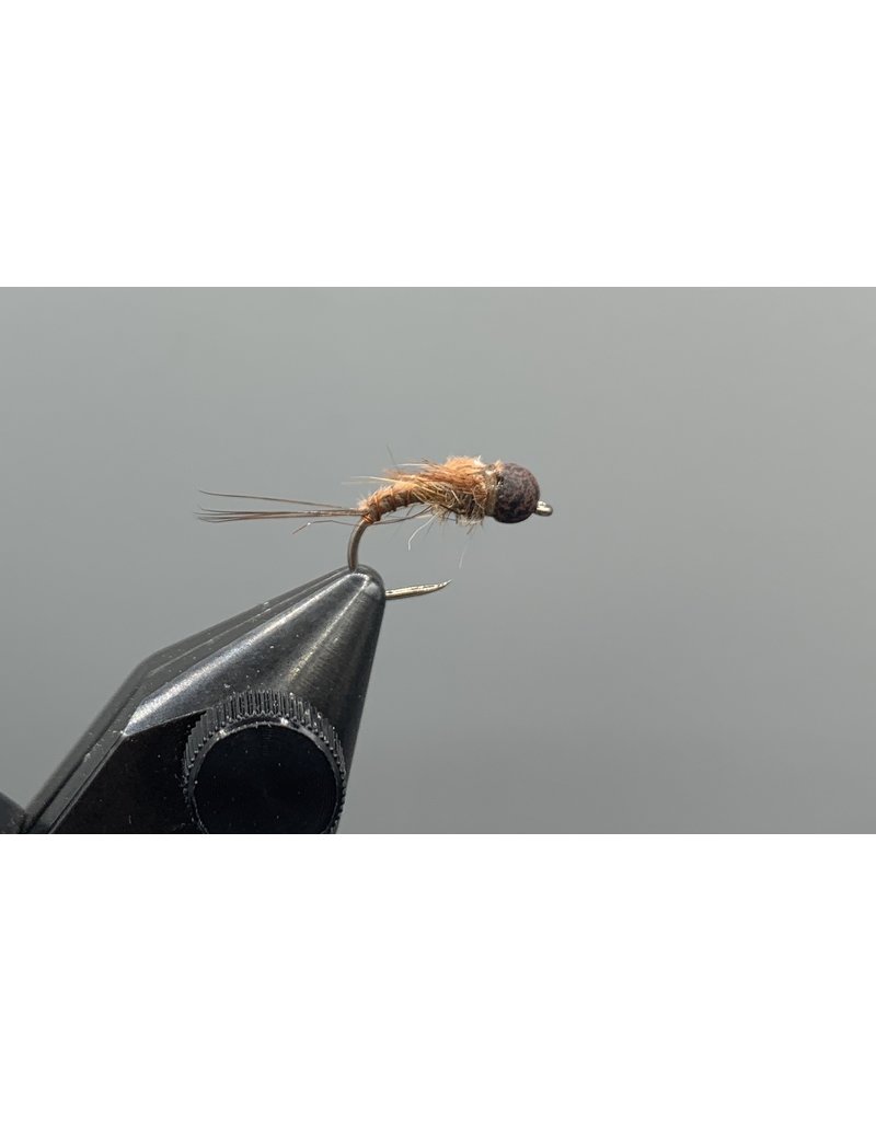 American Nymph - Drift Outfitters & Fly Shop Online Store