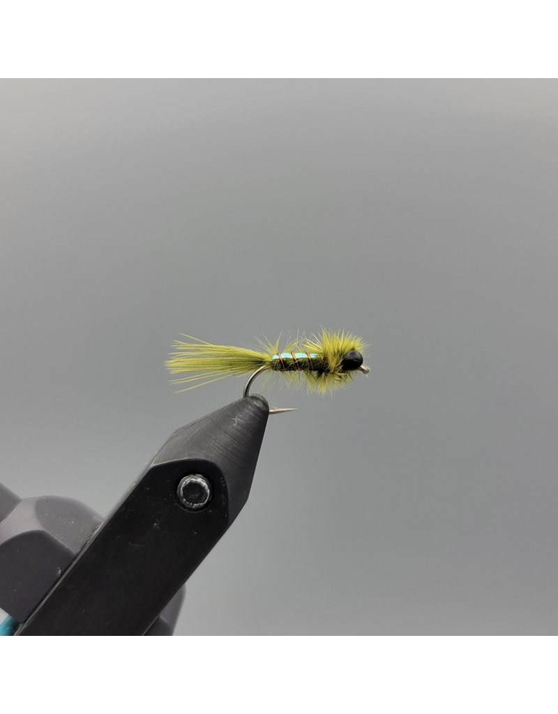 Rowley's Pearly Damsel