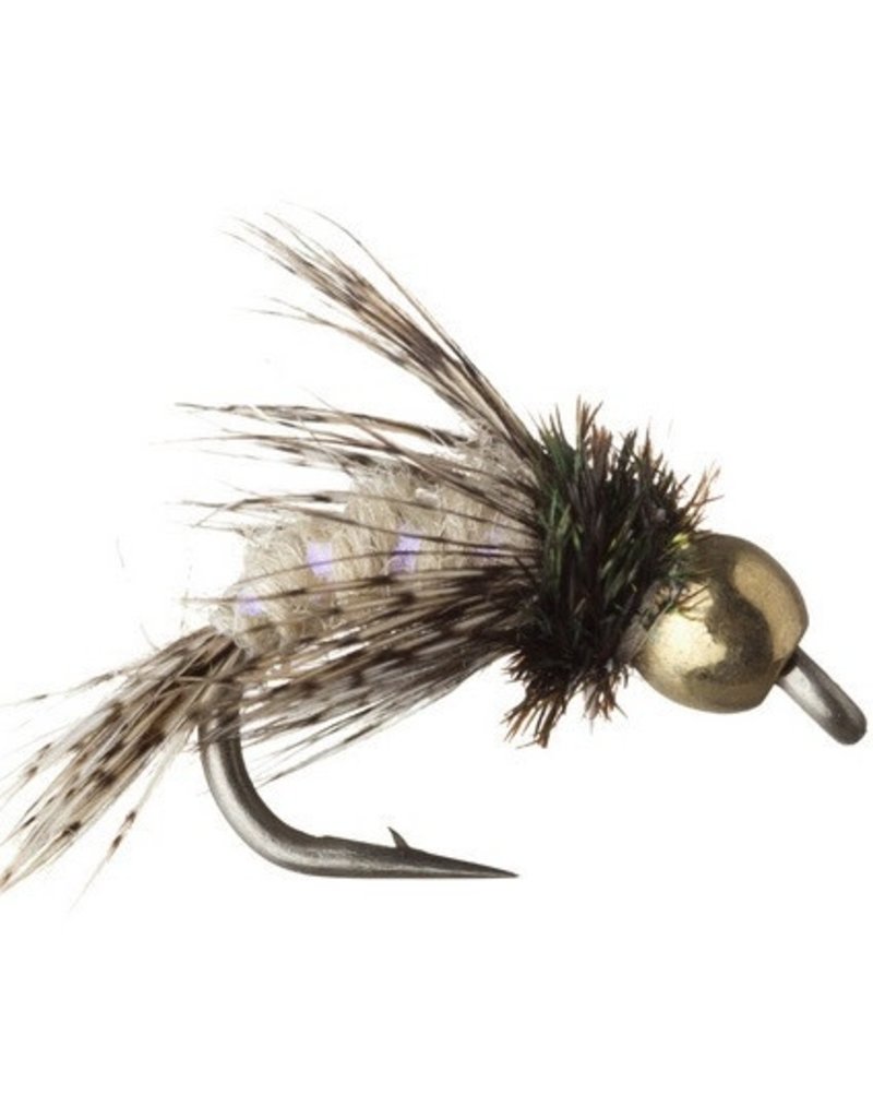 Anderson's Bird of Prey - Olive - Size 16