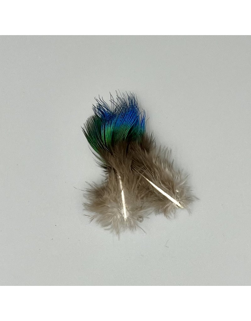 OFISHL OFISHL - Peacock Blue Feathers (10 Pack)