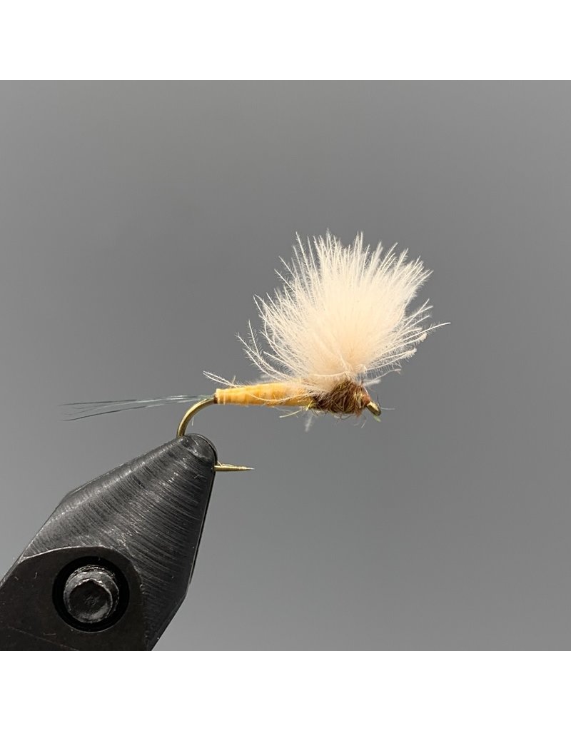 Montana Fly Co. Quill Body CDC Comparadun