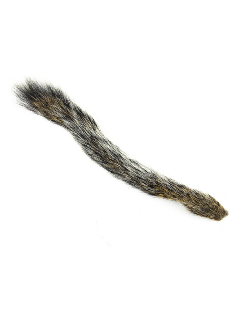 Shor Shor Squirrel Tail