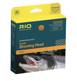 RIO Rio Scandi Shooting Head Int. Body 7wt 350gr