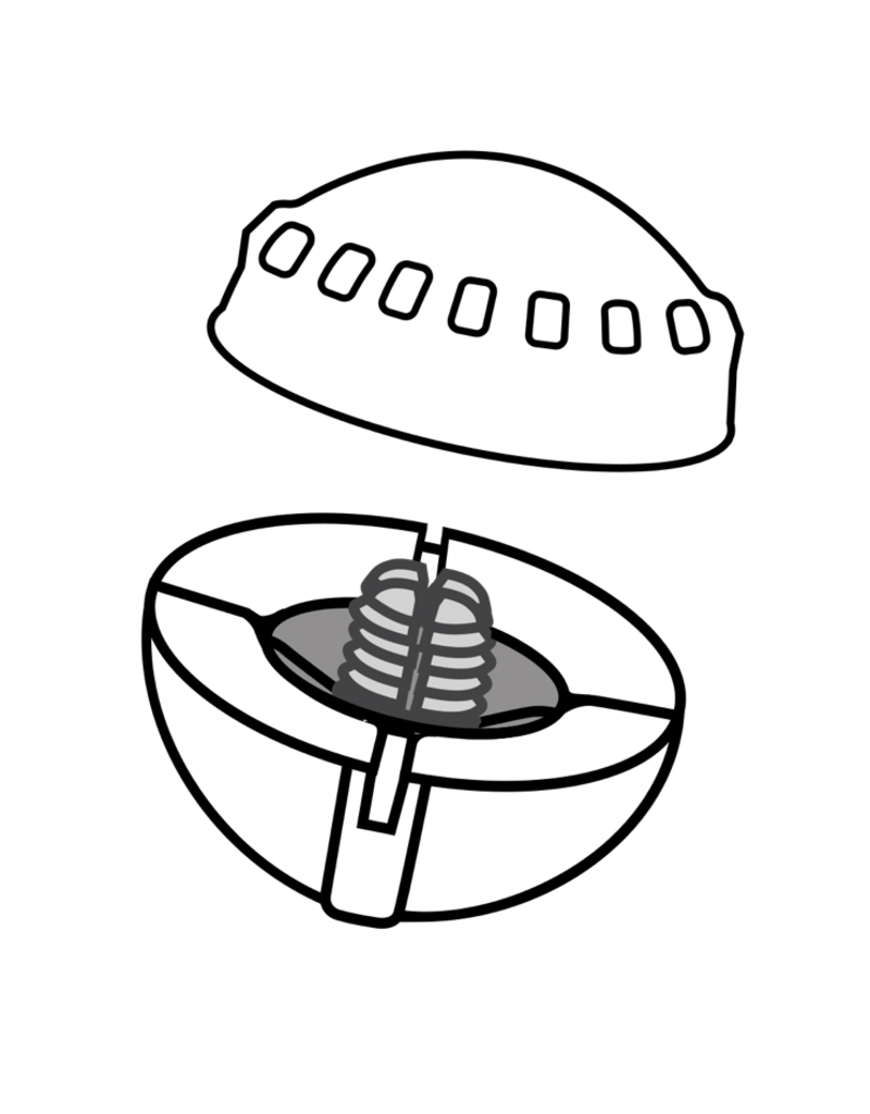 Airlock Airlock Centerlock Indicators