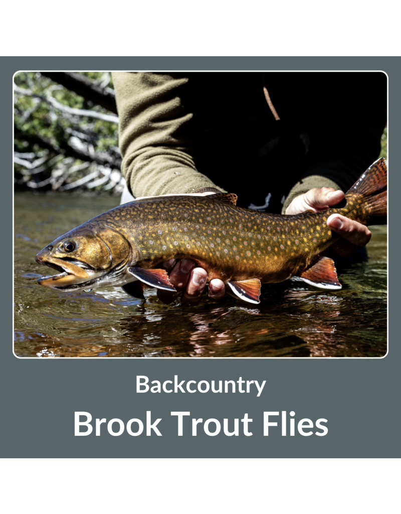 Back Country Brook Trout Flies with Nick Roman - Wed, Oct 30th, 6:15pm