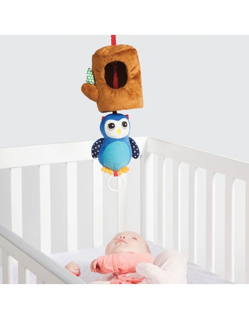 MANHATTAN TOYS MANHATTAN TOY LULLABY OWL MUSICAL PULL TOY baby
