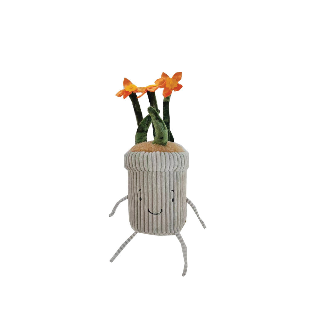 Bunnies By The Bay Windowsill Snake Plant main image 1
