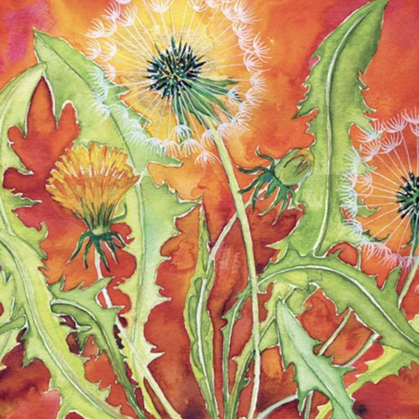 soulflower dandelion