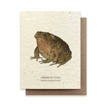 The Bower Studio american toad (plantable)