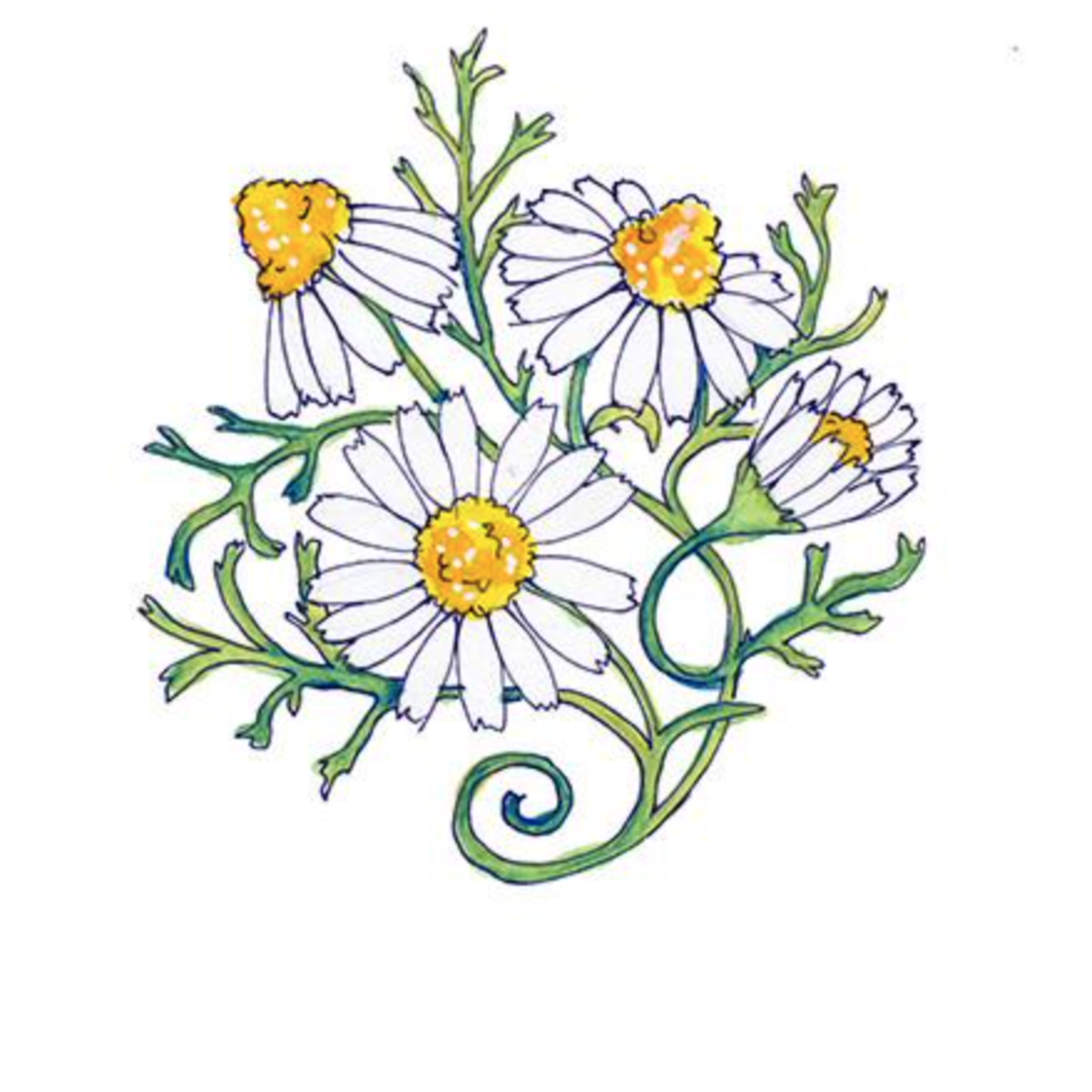 soulflower tattoo. chamomile