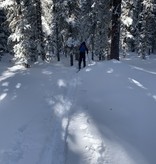 Backcountry Classic Nordic Skiing Half Day