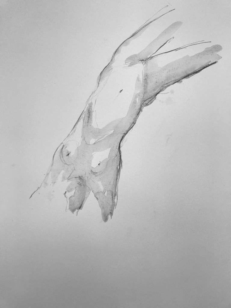 Thomas bucich nude study iv pencil wash on paper framed becker minty