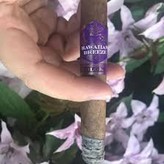 Esteban Carreras Hawaiian Breeze Purple Haze Corona by Esteban Carreras