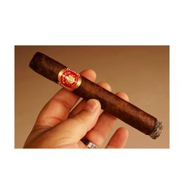 Punch Punch Elites Maduro