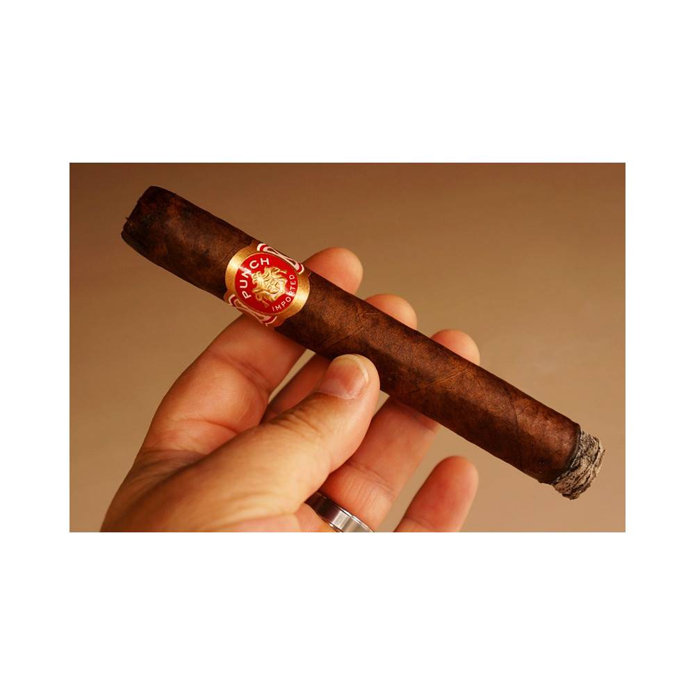 Punch Elites Maduro El Cigar Shop