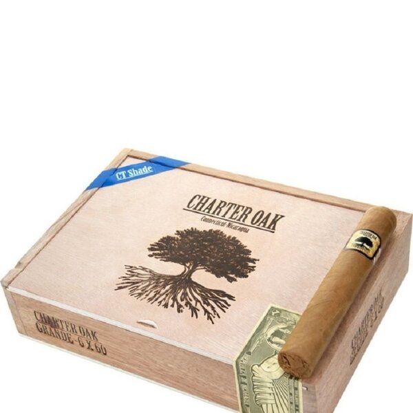 Charter Oak Foundation Charter Oak CT Shade Grande Box of 20