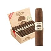 Charter Oak Foundation Charter Oak Maduro Rothschild- Single Cigar