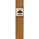 Charter Oak Foundation Charter Oak CT Shade Rothschild