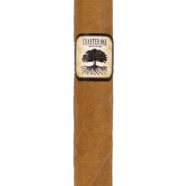 Charter Oak Foundation Charter Oak CT Shade Rothschild