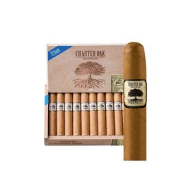 Charter Oak Foundation Charter Oak CT Shade Rothschild- Box of 20