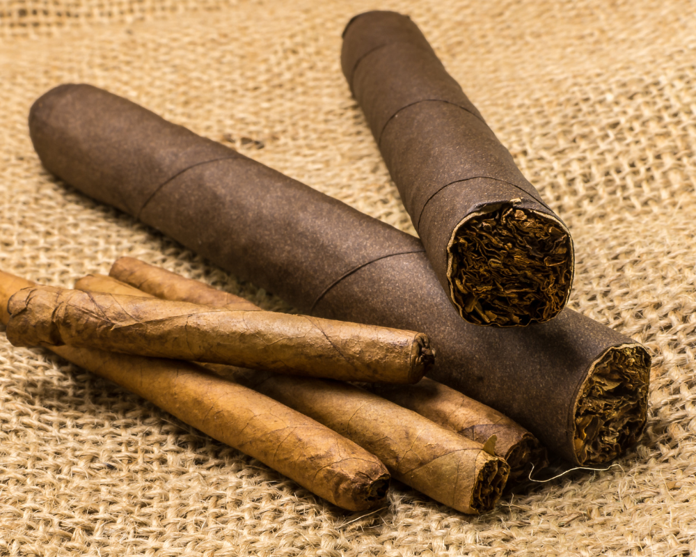 Best Cigar Shop near Willow Grove