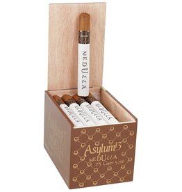 Asylum 13 Asylum 13 Medulla Toro Natural (Corojo)- Single Cigar- Round Parejo