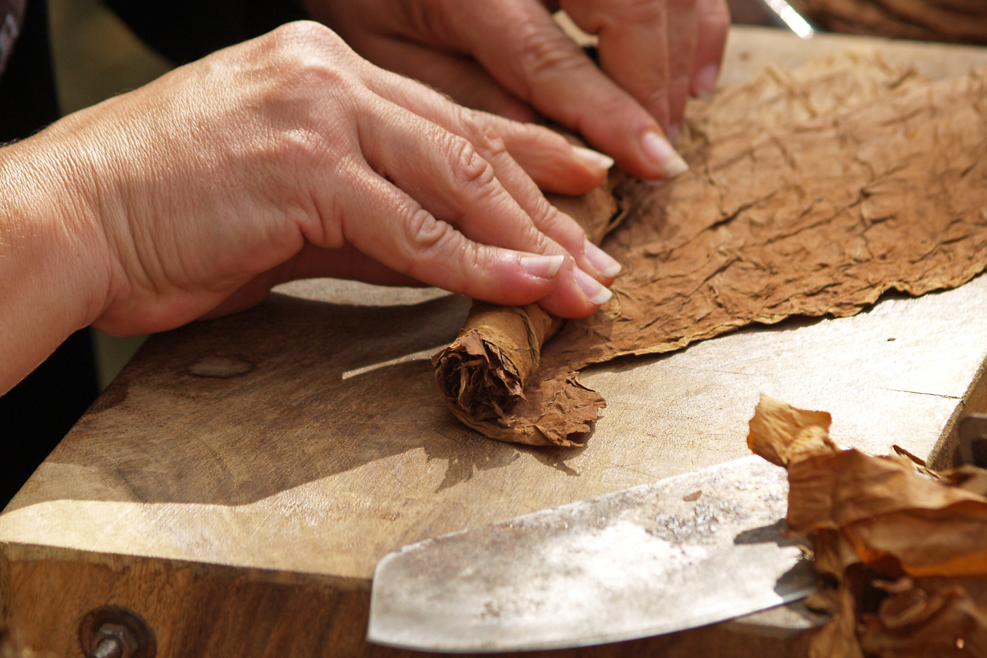 Premium Hand Rolled Cigars in Glenside: Discover the Art of Smoking at El Cigar Shop